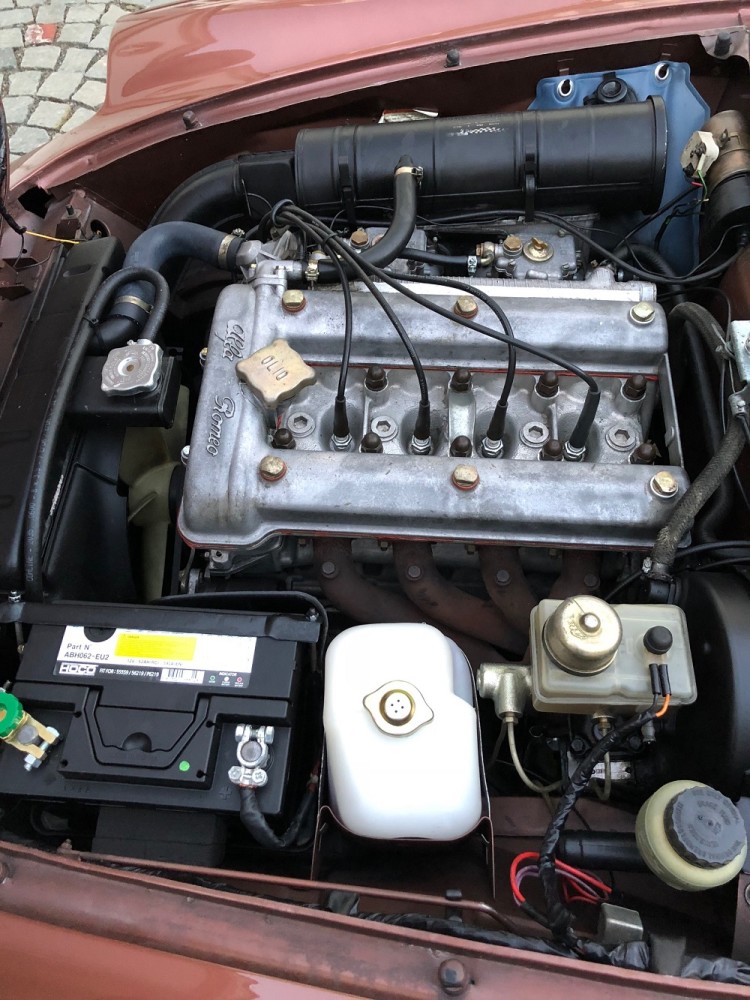 AR Spider Fastback Motor-1000P
